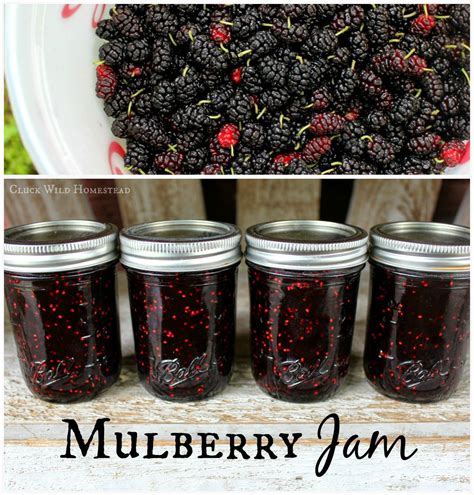 burberry jam|canned mulberry jam.